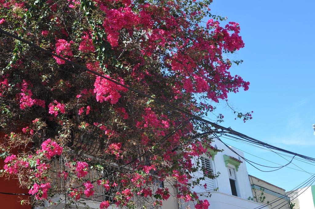 Dona Elvira Boutique Hotel Saint-Domingue Chambre photo
